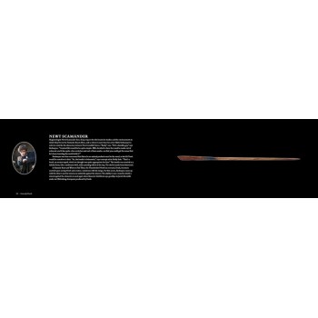 Harry Potter ir fantastiniai gyvūnai The Wands of the wizarding world Insight Edition