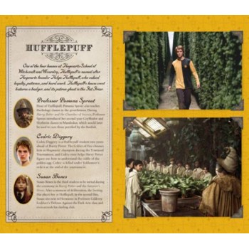 Harry Potter: Hufflepuff kišeninė užrašinė Insight Editions