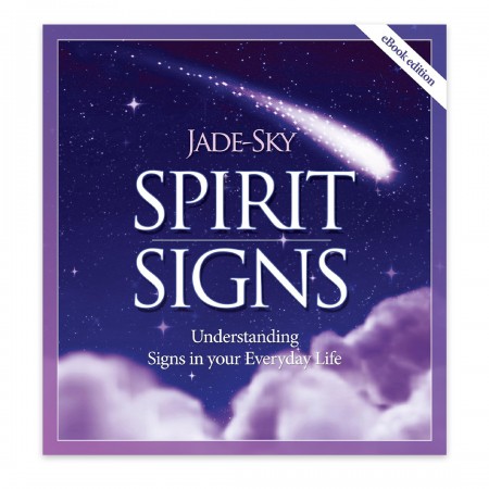 Spirit Signs: Understanding Signs in your Everyday Life - Knyga Blue Angel