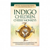 Indigo Children & Cheeky Monkeys: Understanding & Celebrating the Uniqueness of Every Child  knyga Blue Angel