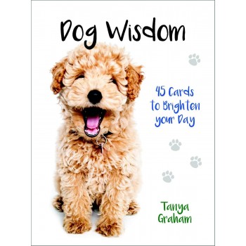 Inspirational kortos Dog Wisdom Blue Angel