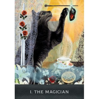 Grimalkins Curious Cats Tarot kortos Hay House