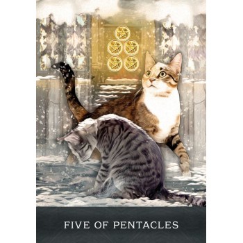 Grimalkins Curious Cats Tarot kortos Hay House