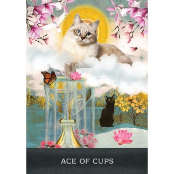 Grimalkins Curious Cats Tarot kortos Hay House