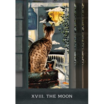 Grimalkins Curious Cats Tarot kortos Hay House