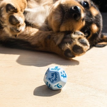 DOGS Dice Set: Max kauliukų rinkinys