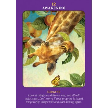 Animal Guides Tarot kortos Hay House