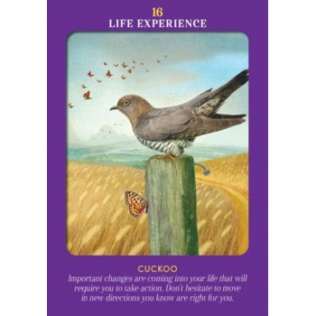 Animal Guides Tarot kortos Hay House