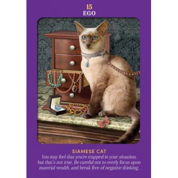 Animal Guides Tarot kortos Hay House