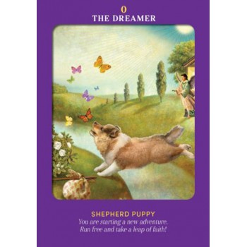 Animal Guides Tarot kortos Hay House